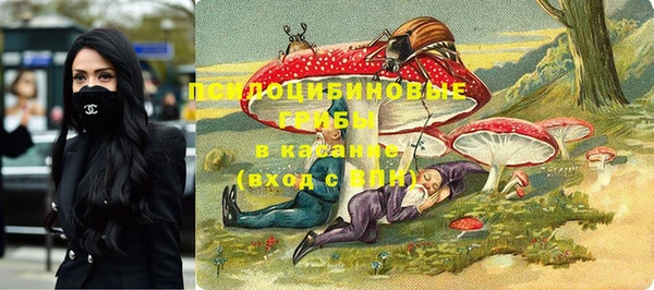 метадон Дмитриев
